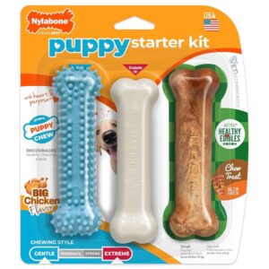 Nylabone New Puppy Starter Kit,